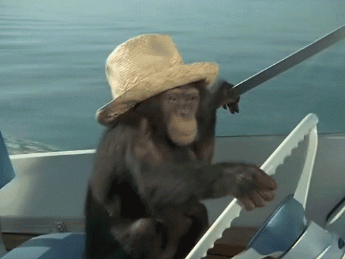 1643964097_chimp_boat.gif