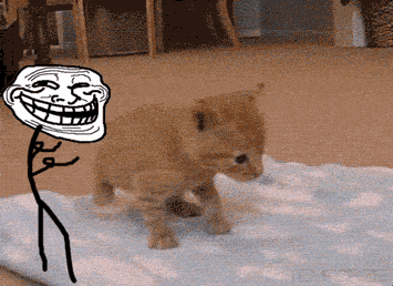 1936842059_trollpushingthecat.gif