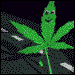 444624048_leafy.gif