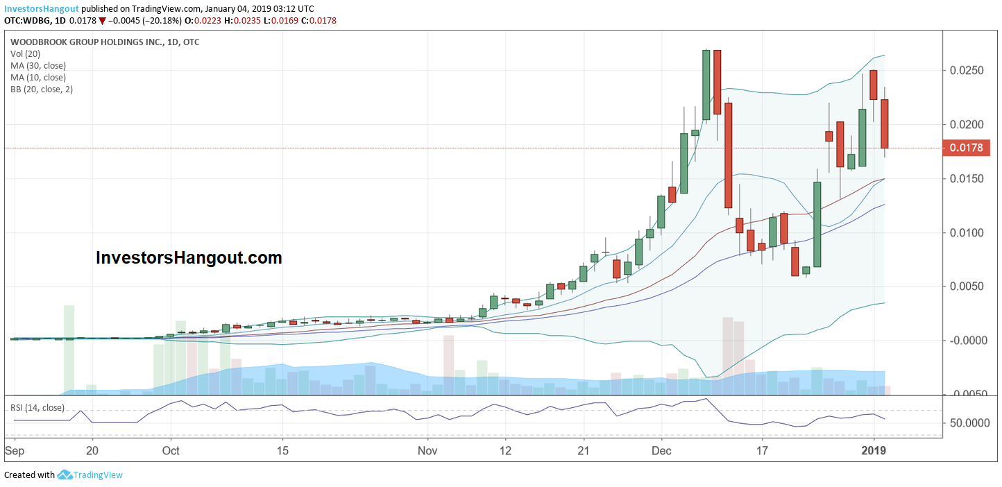 1044633504_WDBG-Stock-Woodbrook-Group-Holdings-Inc-Chart-and-Research-Report.png