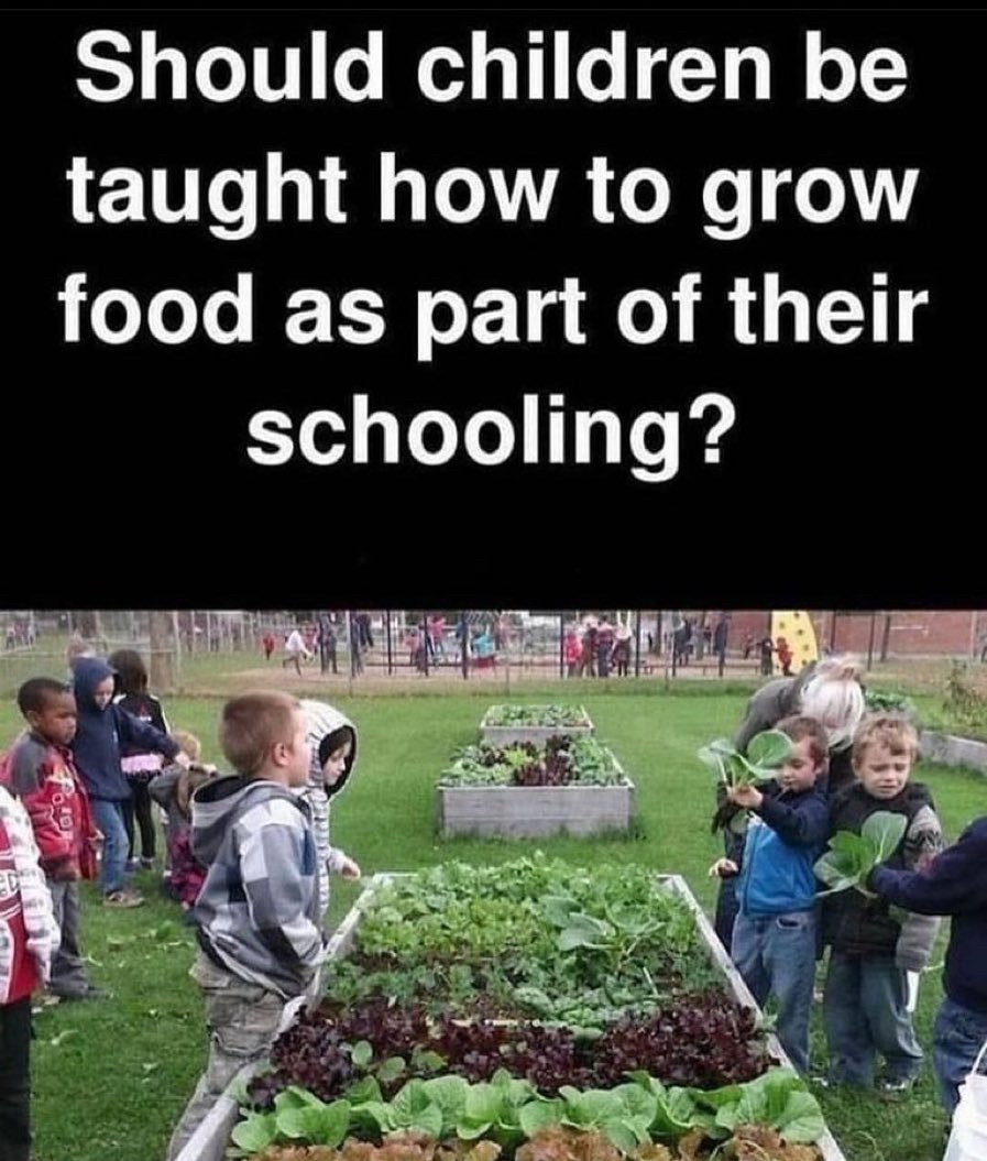 1093767190_food101.jpg