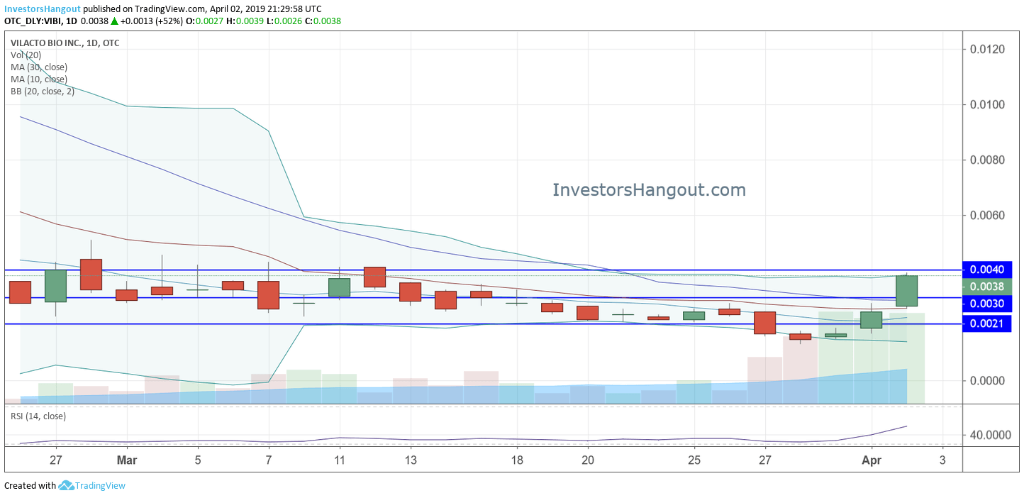 VIBI Stock Chart