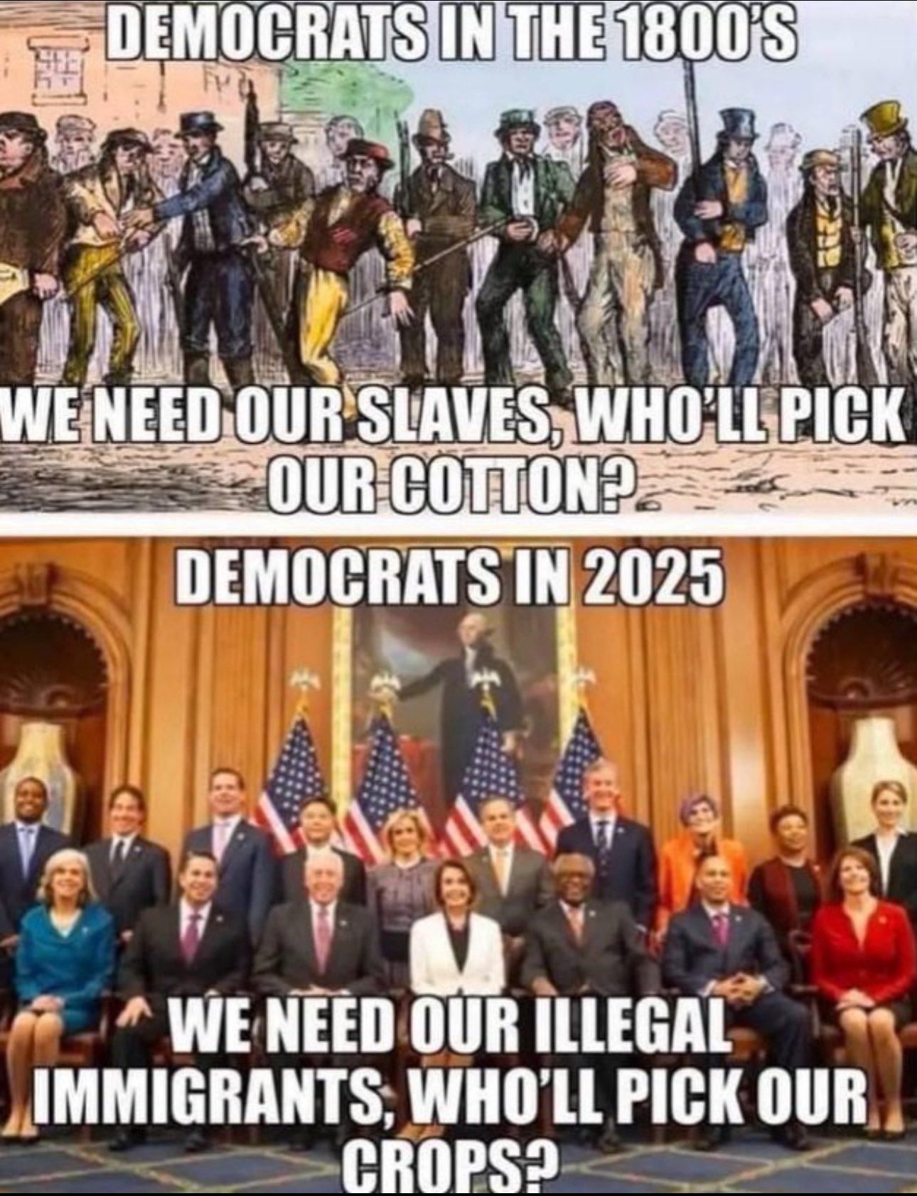 1246635887_cottoncrockett.jpg