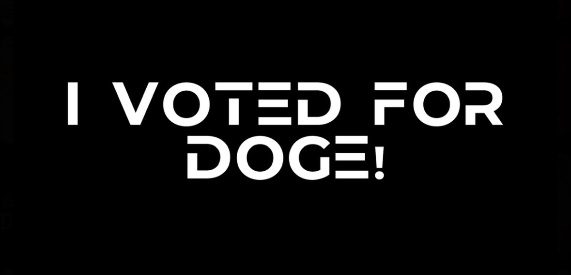 161334038_voted.jpg