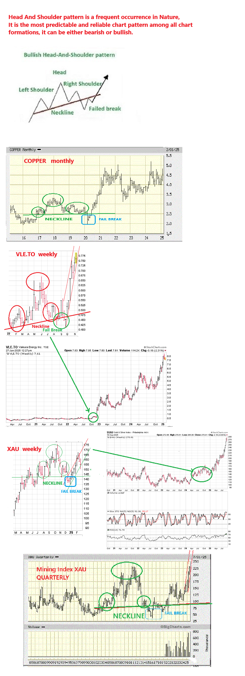 1703059454_BullishHead&Shoulderpatternscasehistory.png