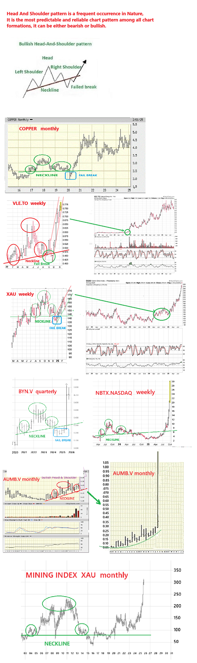 1968944388_BullishHead&Shoulderpatternscasehistory.png