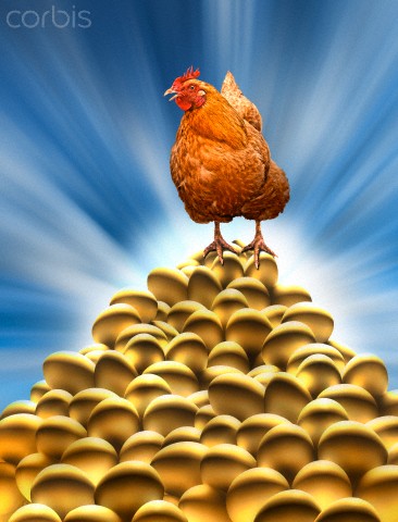 2061904445_golden~eggs.jpg