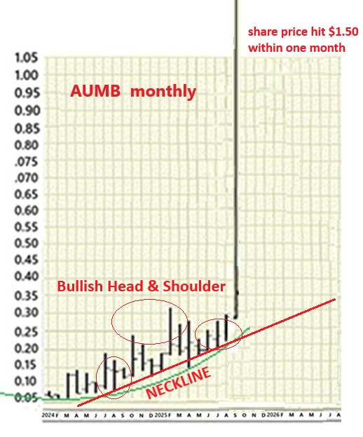 254484093_AUMBmonthly.jpg