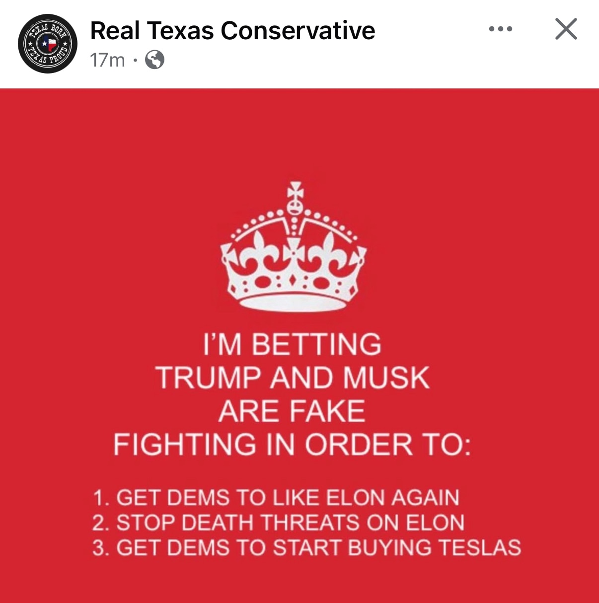 273535431_fakefight.jpg
