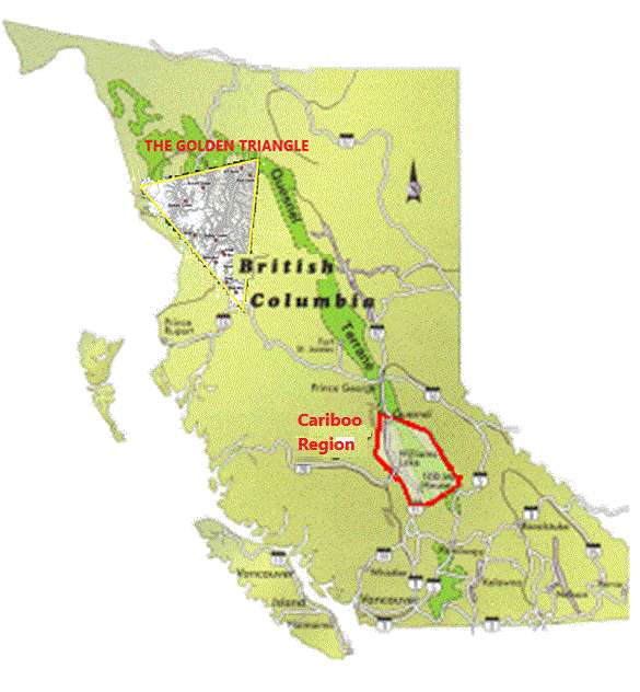 34016351_TheCaribooregion.gif