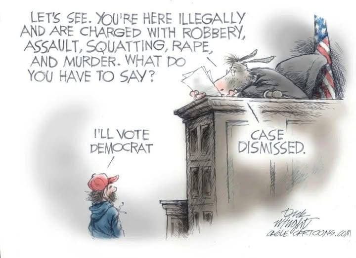 403425068_votedemocrat.jpg