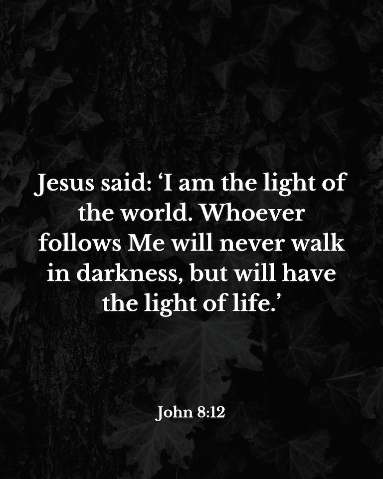 443423196_john8-12.jpg