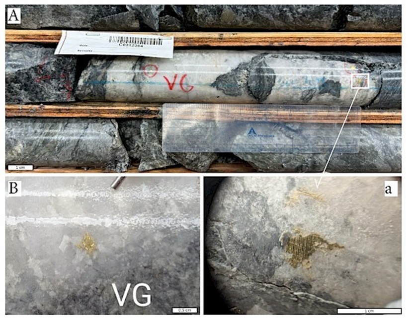 774713269_Visiblegoldindrillcore.jpg