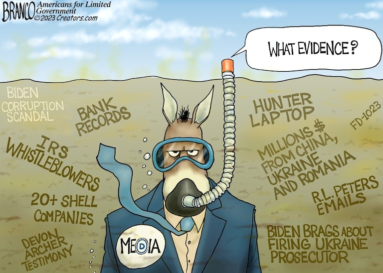915271663_media.jpg