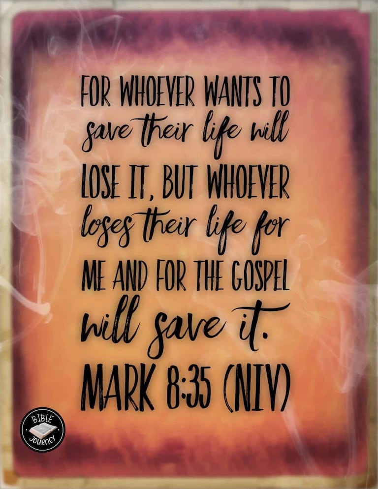 917655675_mark8.35.jpg