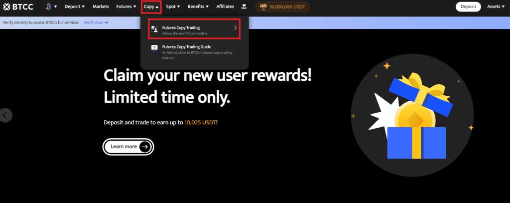Users access the copy trading functionality from the Copy section on the web version