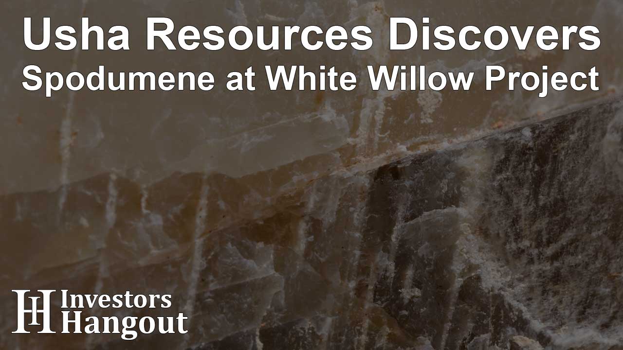 Usha Resources Discovers Spodumene at White Willow Project