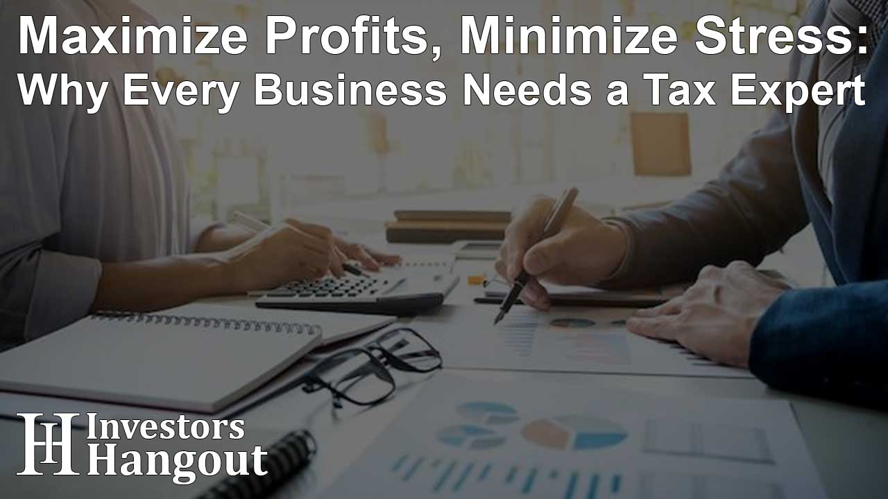 Maximize Profits, Minimize Stress: Why Every Business Needs a Tax Expert