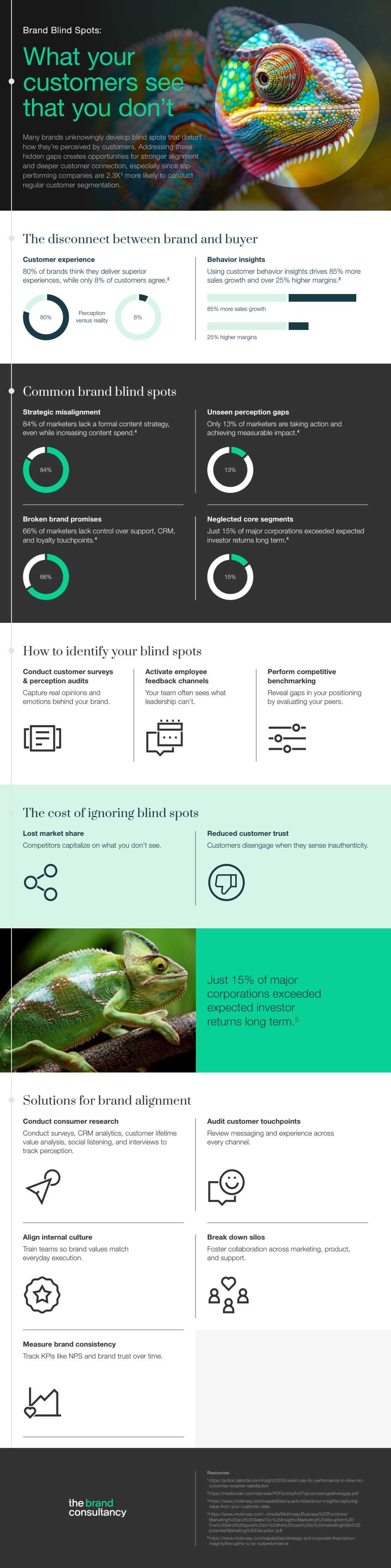Brand Blind Spots What Your Customers See That You Dont Infographic.
