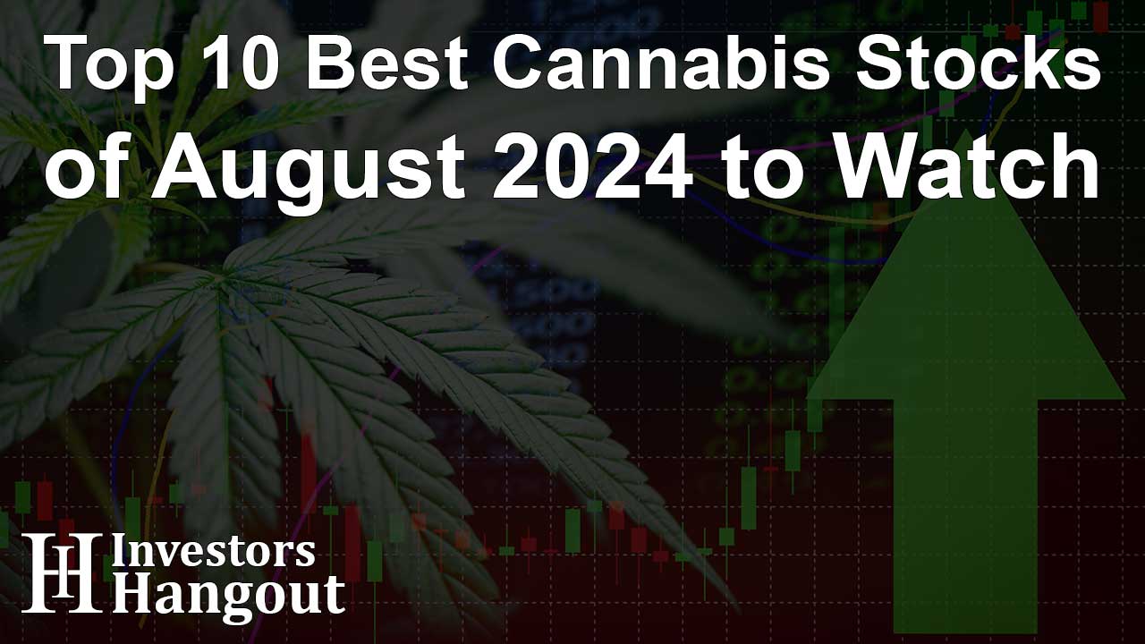 Top 10 Best Cannabis Stocks of August 2024 to Watch - Article Image