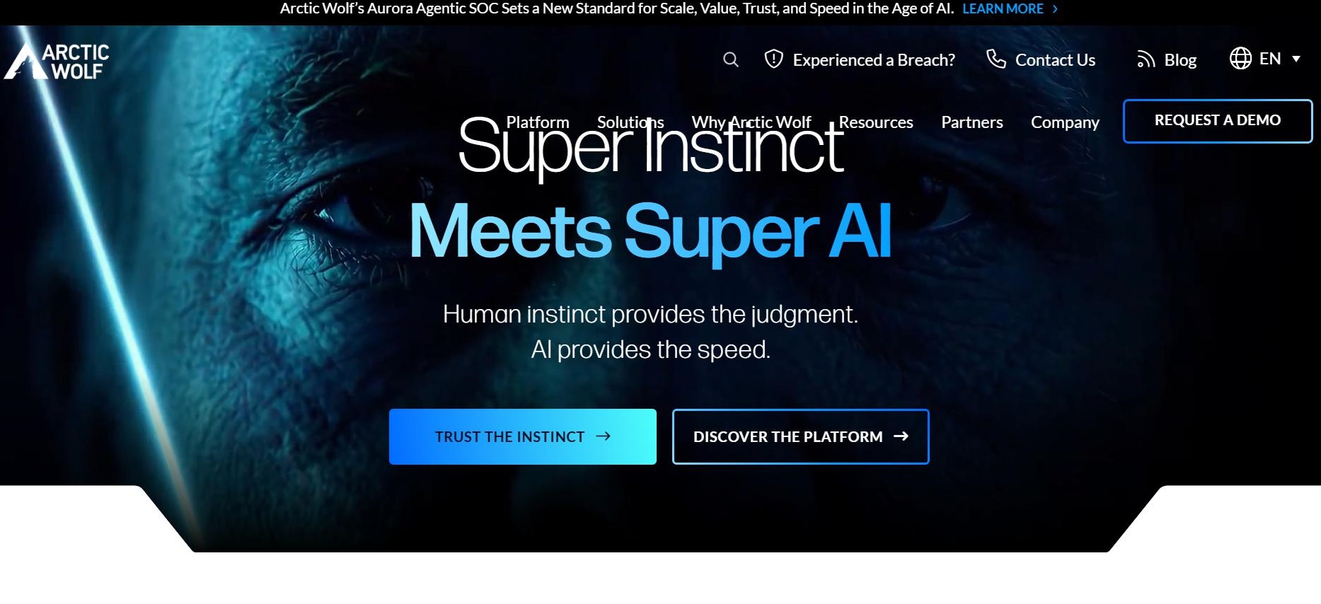 Artic Wolf Websites Homepage Screenshot.