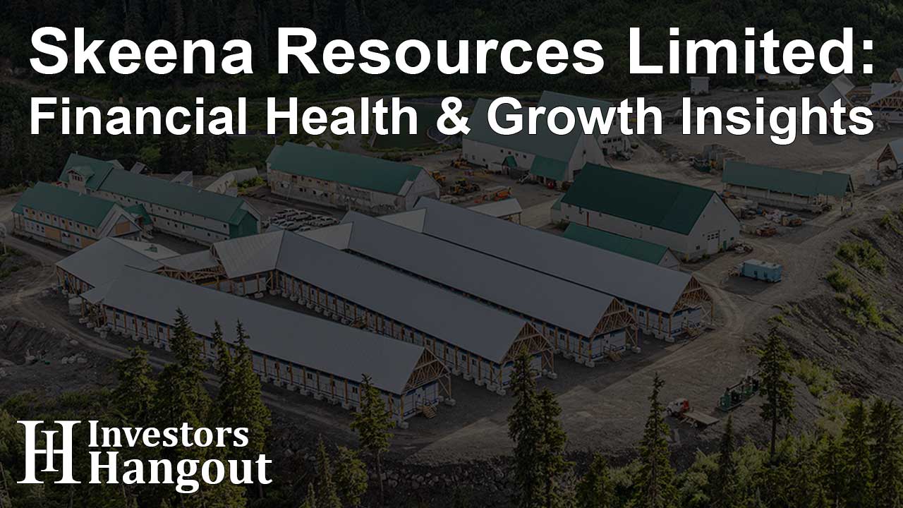 Skeena Resources Limited: Financial Health & Growth Insights - Article Image